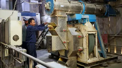 An operator checking feed mash at the pellet press