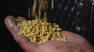 Finished pellets in hand as they come off the press