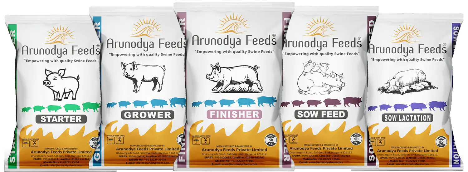 Arunodya Piglet Starter, Grower, Finisher, Sow Feed and Sow Lactation swine feed bags